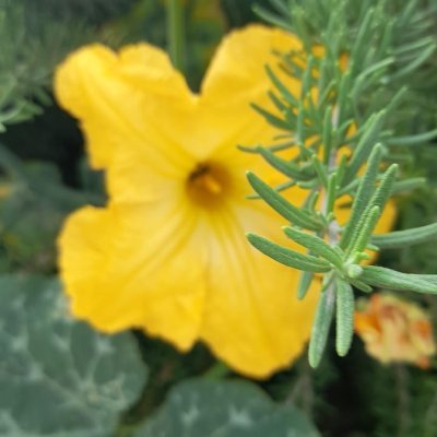 saraT266002's profile picture. https://t.co/MeIrvcmKAl