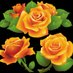 00967733161377يارب ارزقني من حيث لااحتسب (@gbxuklh6bigiafr) Twitter profile photo 00967733161377يارب ارزقني من حيث لااحتسب (@gbxuklh6bigiafr) Twitter profile photo