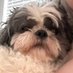 𝕰𝖌𝖎𝖗𝖑 𝕾𝖆𝖌𝖊 𝕸𝖆𝖎𝖓 (@iconicxbizzle) Twitter profile photo 𝕰𝖌𝖎𝖗𝖑 𝕾𝖆𝖌𝖊 𝕸𝖆𝖎𝖓 (@iconicxbizzle) Twitter profile photo