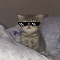 Ali A K T I F (@alikolen72) Twitter profile photo