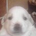 I (@iilvssrvv) Twitter profile photo I (@iilvssrvv) Twitter profile photo