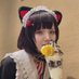 輝乃🐾アコスタ福岡 (@kg_no_) Twitter profile photo 輝乃🐾アコスタ福岡 (@kg_no_) Twitter profile photo