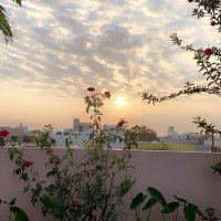 Abhishek Prajapati (@ig_abhishek__51) 's Twitter Profile