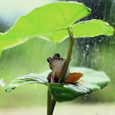 WashitooreOre's profile picture. ただただ大阪（故郷）に帰りたい人

走るとつまずく55歳

養護教諭2種/日本語文書処理能力検定2級/日商PC（データ活用）検定2級/日商簿記検定2級/FP（国家資格）保険顧客資産相談業務3級/第二種衛生管理者取得
Word/Excel/PP/Access（スタンドアローンの簡易的なシステム作成SQL/VBA使用）