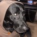 derek (@derek2094176745) Twitter profile photo derek (@derek2094176745) Twitter profile photo