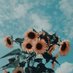 🌻 (@sunflower000s) Twitter profile photo 🌻 (@sunflower000s) Twitter profile photo