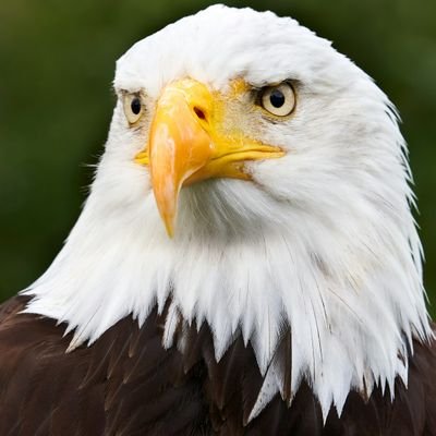 Bestmodefit's profile picture. A content creator is someone who produces and shares original material, like videos, articles, or art.