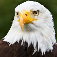 Esakhanzz (@bestmodefit) 's Twitter Profile Photo