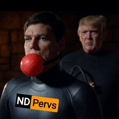 BeadyEyedEby's profile picture. David Eby’s fent dealer, moderate centrist