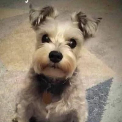 WillameanaChubb's profile picture. 