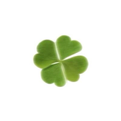 bll_ue_'s profile picture. 내가 좋아하는 일상 기록