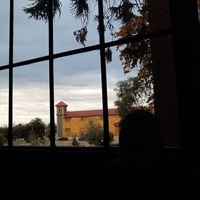coqueteo con el peronismo pero mi familia es radicheta y amo a la rusa bregman. no pregunten (?
