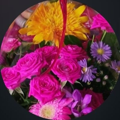 BAo3tbjHsM43031's profile picture. Snow Man  めめ

timelesz  原ちゃん
 
Aぇ！group  末様

CUTIE STREET  ぱるたん

FRUITS ZIPPER あまれん姉妹  推し