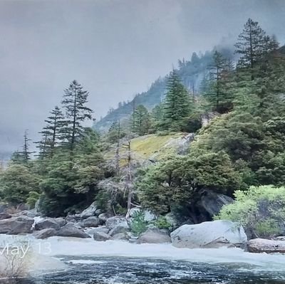 ShafiqWardag's profile picture. 