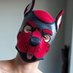 Casper Doggo 🔜 LVFC, MEGAPLEX (@pupcazper) Twitter profile photo Casper Doggo 🔜 LVFC, MEGAPLEX (@pupcazper) Twitter profile photo