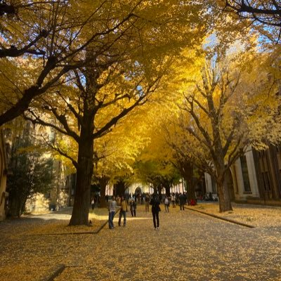 syusyu_syukatsu's profile picture. 27卒