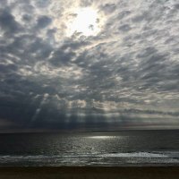 Steve88 (@stevemcmullen14) 's Twitter Profile