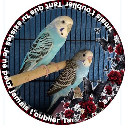 【道の駅巡り&御朱印巡り📕/FX.日本株.米国株.投資信託📈/インコちゃん🐤/ウイスキー検定3級🥃/浦和レッズ♦️/ちいかわ、最推しプルャ&ももんが꒰՞o̴̶̷̤ᾥo̴̶̷̤՞꒱(基本箱推し) 】28歳