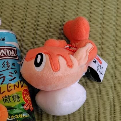 さかな🐠ｽｲｽｲさんのプロフィール画像