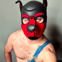Pup Bandit (@itspupbandit) 's Twitter Profile Photo Pup Bandit (@itspupbandit) 's Twitter Profile Photo
