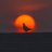KellyOndabu's profile image