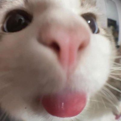 Asianchemicall's profile picture. party hard.