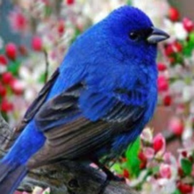 Kingjames_402's profile picture. 