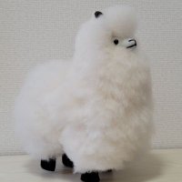 γγ«γ¦γπ¦ (@pacateya1) 's Twitter Profile