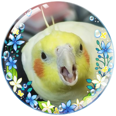 🐥🐤🐣みけ助🐣🐤🐥さんのプロフィール画像