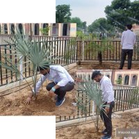 akd_organic_farming_offical आज नहीं तो कल जैविक ही (@gpakdguru) 's Twitter Profile