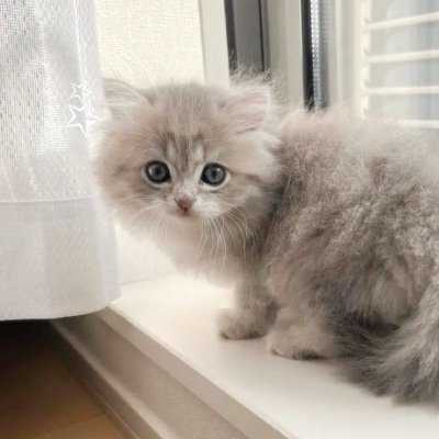 濃ゆくなれるお友達探してます🎀🪄