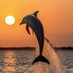 nature💞💞💞💞💞💞💞💞💞💞💞💞💞💞💞💞 (@natureclassics5) Twitter profile photo nature💞💞💞💞💞💞💞💞💞💞💞💞💞💞💞💞 (@natureclassics5) Twitter profile photo