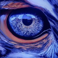 John Grhnch (@grhnch702) 's Twitter Profile