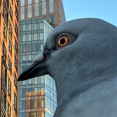Mさんのプロフィール画像