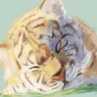 torataroさんのプロフィール画像