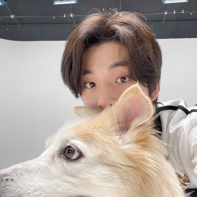 — I’m lucky to found you 🫶🏻 ; @ENHYPEN 🦮🐈 & @BUS_SONRAY 🦖🐈‍⬛🏀🌱, @DICE_SONRAY 🙀🦒& @perses_official 🦥 ( #mymineireview ) 👀 / fan account