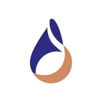 gig group established in 1962 The Group is amongst the largest and most diversified insurance groups in the Middle East and North Africa region.