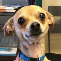 chan (@ny6827210419268) 's Twitter Profile Photo chan (@ny6827210419268) 's Twitter Profile Photo