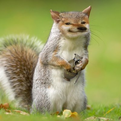 FailingToComply's profile picture. 