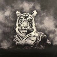 Just Jude๐ช๐บ๐บ๐ฆ ๐ฎ๐ฑ๐๐๏ธ (@horizonjude) 's Twitter Profile Photo Just Jude๐ช๐บ๐บ๐ฆ ๐ฎ๐ฑ๐๐๏ธ (@horizonjude) 's Twitter Profile Photo