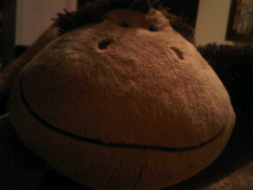 bespoke_1's profile picture. Like a ageing bottle of un labelled red wine. Intriguing, tempting but never quite sure..