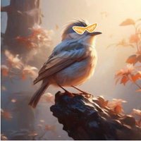 CryptoNIAO (@0xniaoshu) 's Twitter Profile Photo CryptoNIAO (@0xniaoshu) 's Twitter Profile Photo