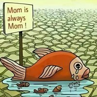 bistci😎 (@karizmabay86) Twitter profile photo