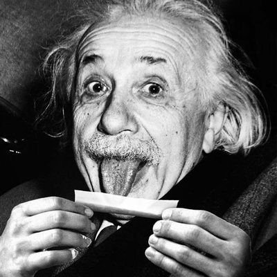 #weedmob, Satire etc. ~FSK23🚨
we are the gods now.
💚
dm's 📭📬📫🚽
#ONE #Weederstand ✊