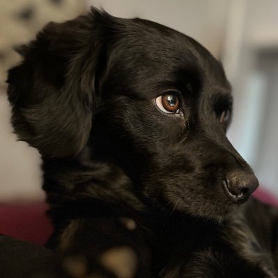 @LissyLabrakel