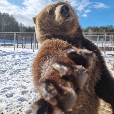 0_point_5's profile picture. Red Velvet #FFB69F 🐻🐰