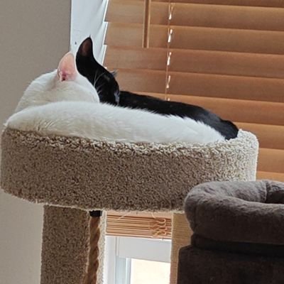 LegionCitizen67's profile picture. 