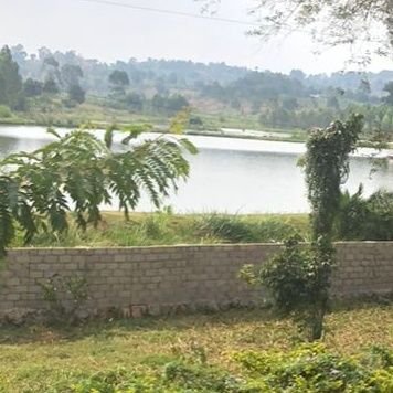 SmithAmstrong's profile picture. Finding myself, Pro-LIFE,  

Neutral.