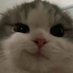 veeicz (120 fps) (@vickyyysol) Twitter profile photo veeicz (120 fps) (@vickyyysol) Twitter profile photo
