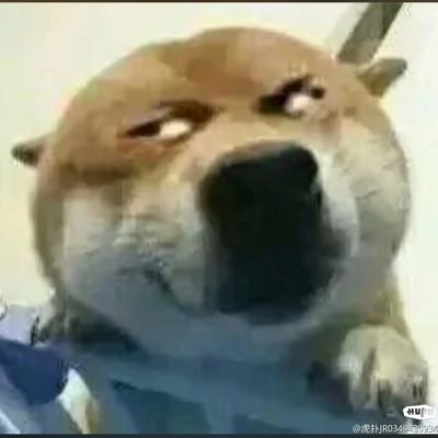 GTer2019448's profile picture. 